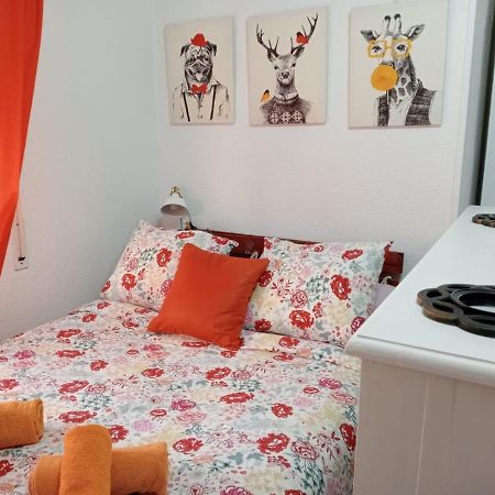 马拉加Apartamento Con Encanto 'Larios Studio'公寓 外观 照片