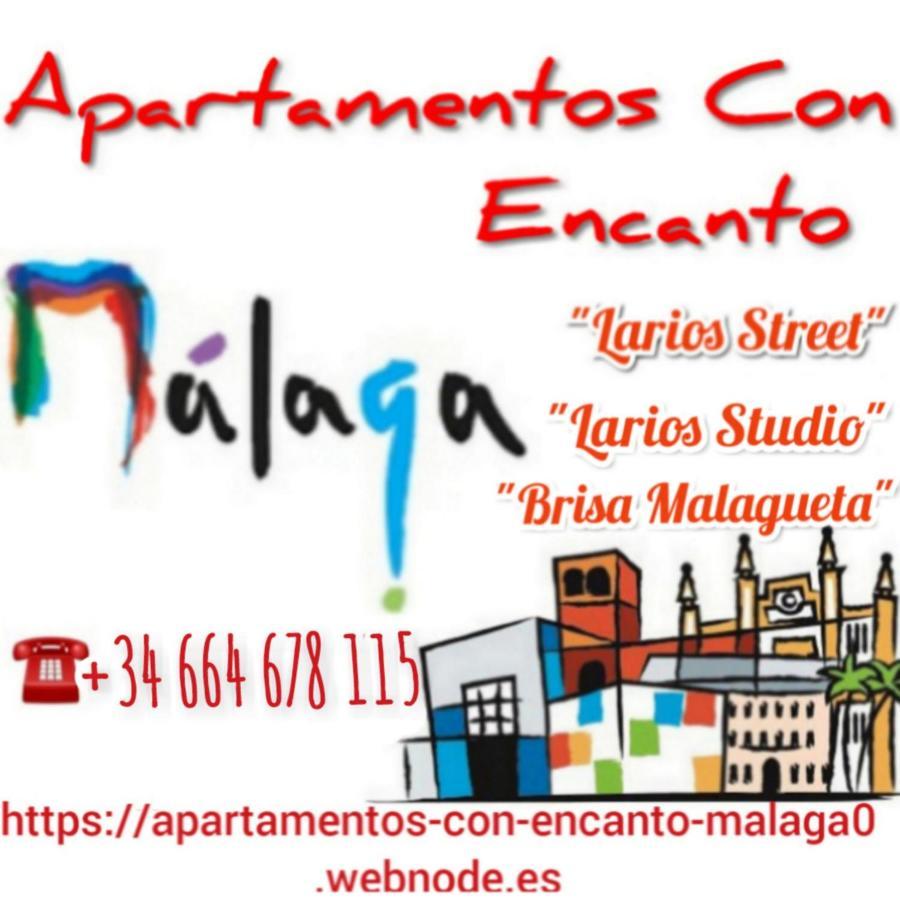 马拉加Apartamento Con Encanto 'Larios Studio'公寓 外观 照片