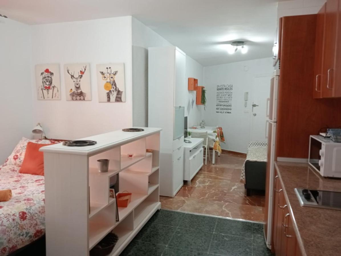 马拉加Apartamento Con Encanto 'Larios Studio'公寓 外观 照片